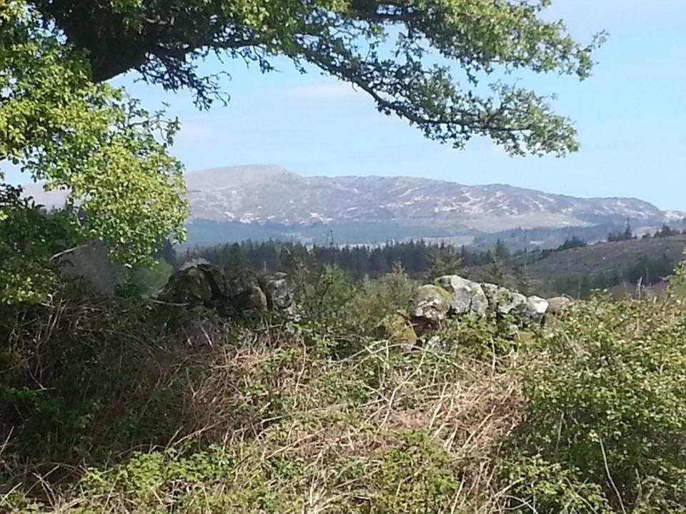 Garlies Lodge Bargrennan Exterior foto